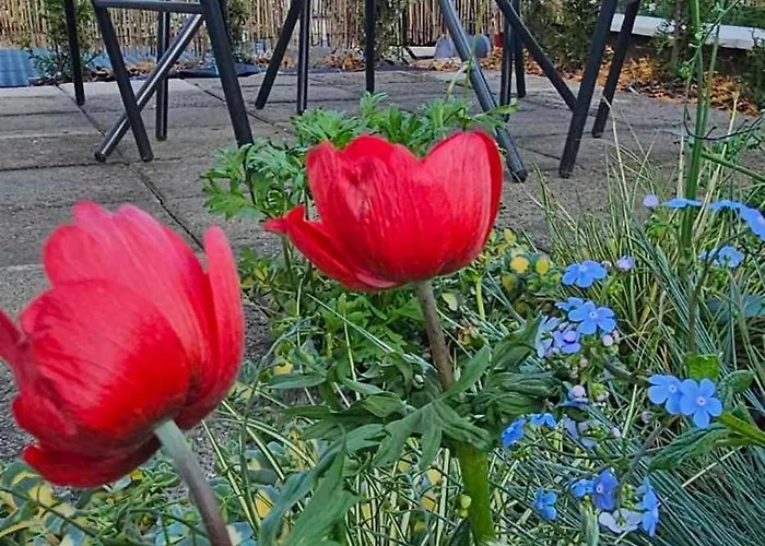 In Jeruzale Appartement *